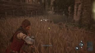A Plague Tale Requiem 39