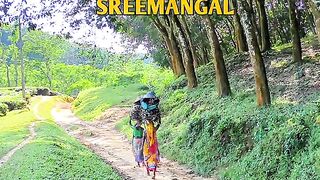 The beauty of Srimangal's tea gardens, covered in an endless blanket of greenery."💚🌿
