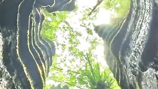 Keindahan alam Negeri Dongeng China Di Suobuya Stone