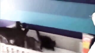 Try not to laugh. 2