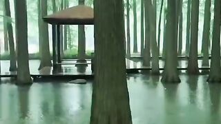 Keindahan alam Negeri Dongeng China Di Luyanghu wetland