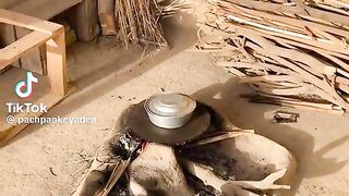 pachpankeyaden