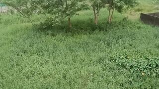 The Beauty of Nature 3