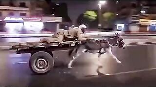 1 terabite ki speed per dhenchu