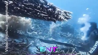Biadab Bener! Diduga Tusuk Penyu di Konservasi Raja Ampat, WNA China Diringkus Pas Mau Kabur!