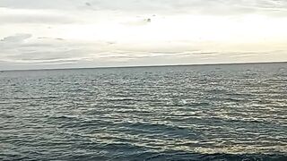Ocean vibes