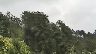 beautiful view 16