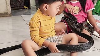 Warning: Do not imitate playing with a cobra.