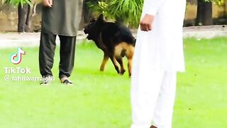 Tahir warraich