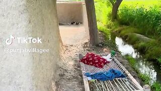 Punjabvillagee