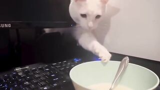 Oh mudeuuuusuuuuuu🥰😻🥰😸😸😸