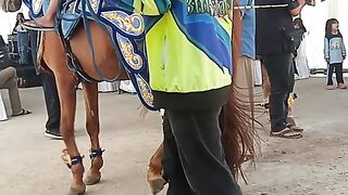 Naik kuda dulu