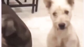 Eu na vida.