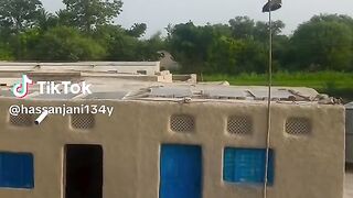 hassan jani