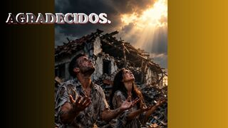 Agradecidos / Grateful / Nous vous remercions / Agradecido / Takknemlig.