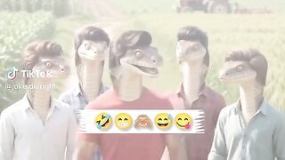 Funny  videos 6