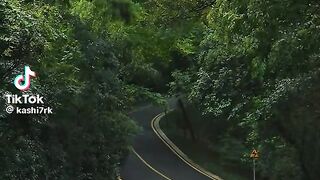 Lovely Place 9