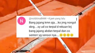 Usaha budidaya lele itu tergantung NIAT❗Serius berhasil ngasal gagal