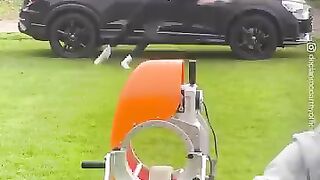 Wow ????