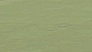 Brilliant direct hit from Shadab