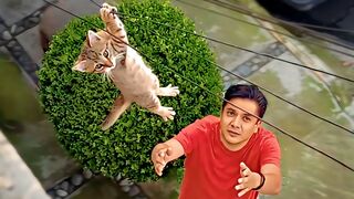 UNUSUAL MEMES COMPILATION 2023