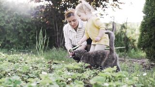 CUTE CAT LOVE HUMAN VIDEO 2023