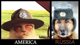 Fierce jokes. Comparison of the USA and Russia.