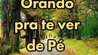 Motivaçaodiaria