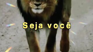 Motivaçaodiaria