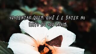 Motivaçaodiaria