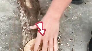 Firewood Log Splitter