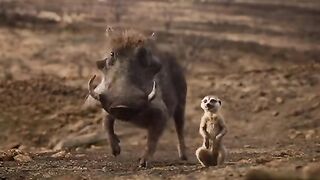 New Comedy cartoon latest funny Episode 56 2023
