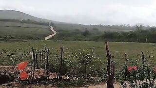 Motivaçaodiaria