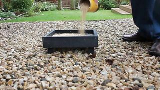 "Attracting Pigeons: The Beauty of Nature at a Bird Feeder".