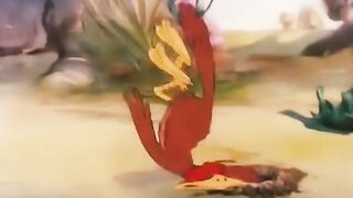 Funny videos from TikTok