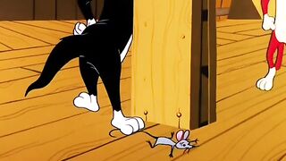 Funny videos from TikTok