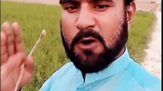 پنجابی شاعری اسلام شعر