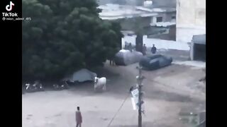 Idher chala me udhar chala