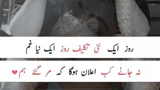 Sad poetry | Heart touching deep poetry | Death poetry