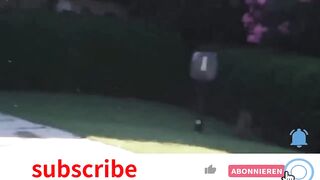 Troll Prank Dog Funny & fake Lion and Fake Tiger Prank To dog & Huge Box Prank to dog