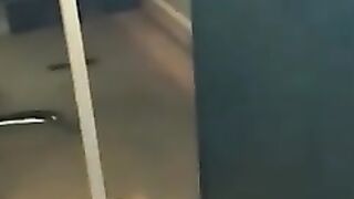 funny animals