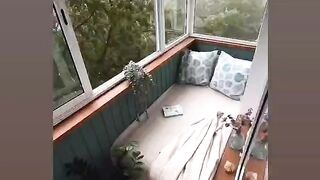 Relaxing video
