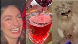 Best Scare Cam & Pranks 2023 #25 | Funny Videos TikTok Compilation