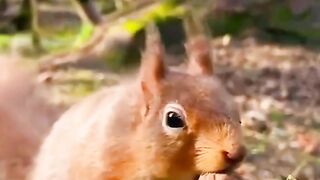 so cute | subscribe