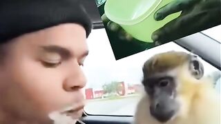 Can you do this for money ?