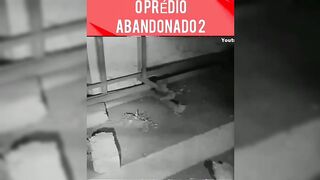 Prédio abandonado 2