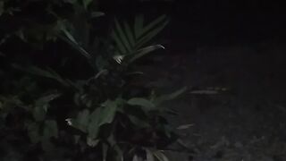 Suasana di malam hari