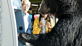 Bear Tries to Withdraw Money 😂