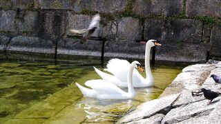 COOL MUSIC FOR MEDITATION AND INSTANT STRESS RELIEF