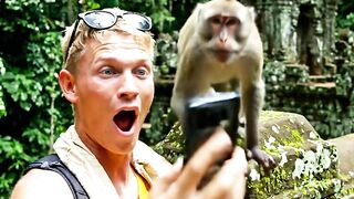 The Monkey Stole My Selfie 😂🐒